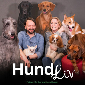 Hundliv