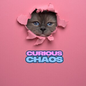Curious Chaos & Kittens